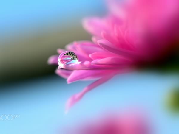 佛山市科桌科技有限公司網(wǎng)站全新改版??！